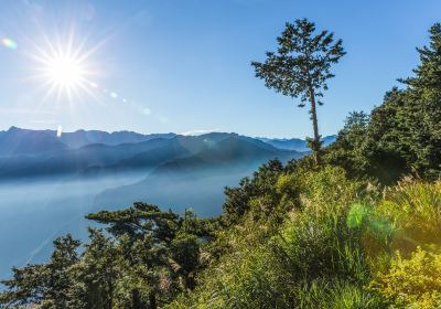 Alishan Jhushan