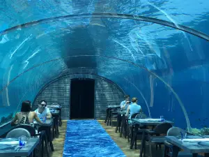 5.8 Undersea Restaurant