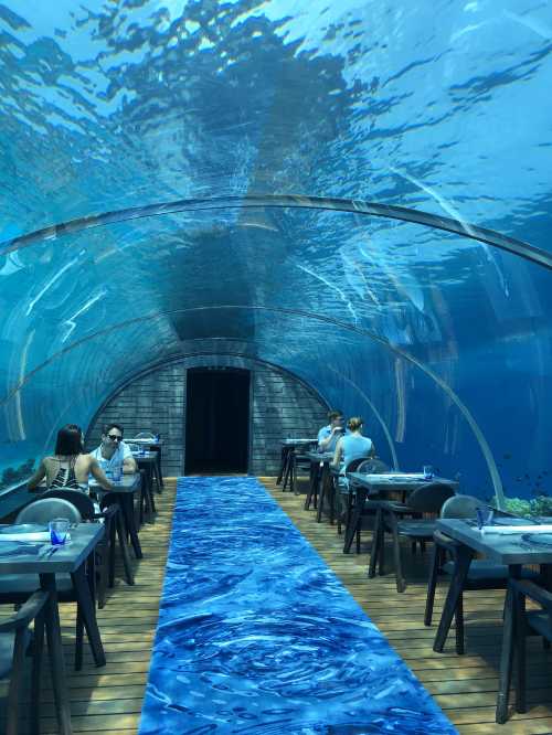 5.8 Undersea Restaurant