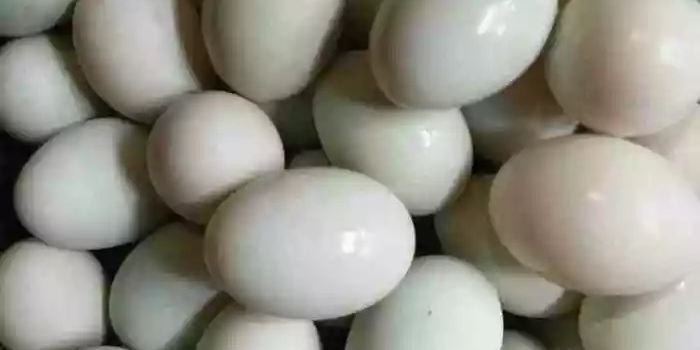 石艺园农家乐