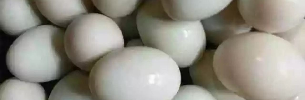 石艺园农家乐