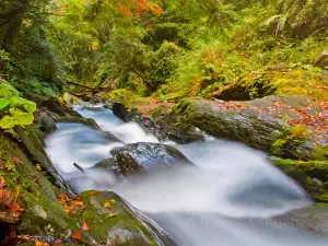 Popular Spring Outings in Hualien