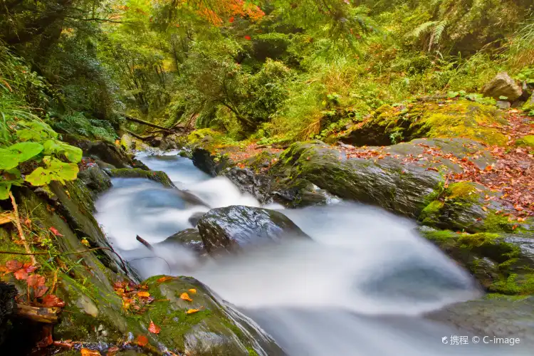 Hotels near Taroko National Park
