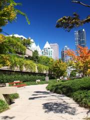 Robson Square