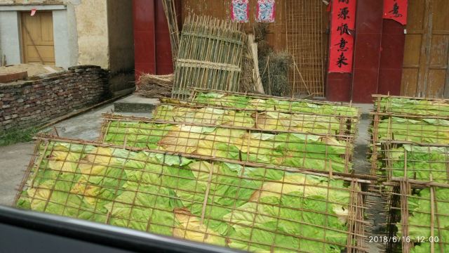 Hakka round houses in Hezhou