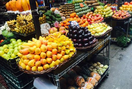 Hidalgo Market (Mercado Hidalgo)