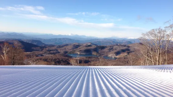 滑雪