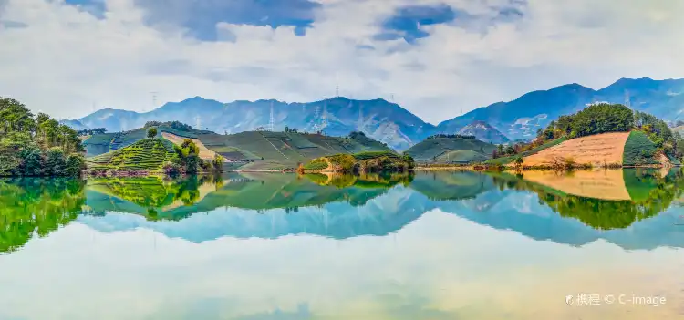 Floral Hotels in Wuyi