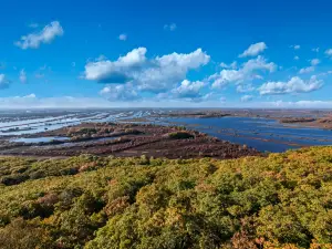 Zhenbao Island