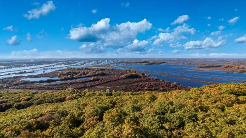 Zhenbao Island