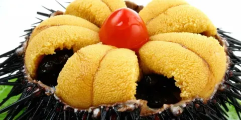 天天漁港（人民路店）