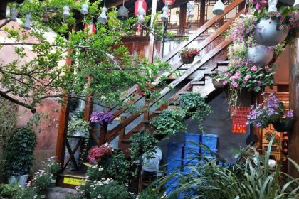 Shi quan Jiu mei wild mushroom hotpot