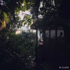 Baan Rim Pa User Photo