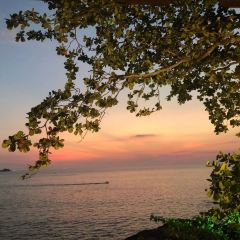 Baan Rim Pa User Photo