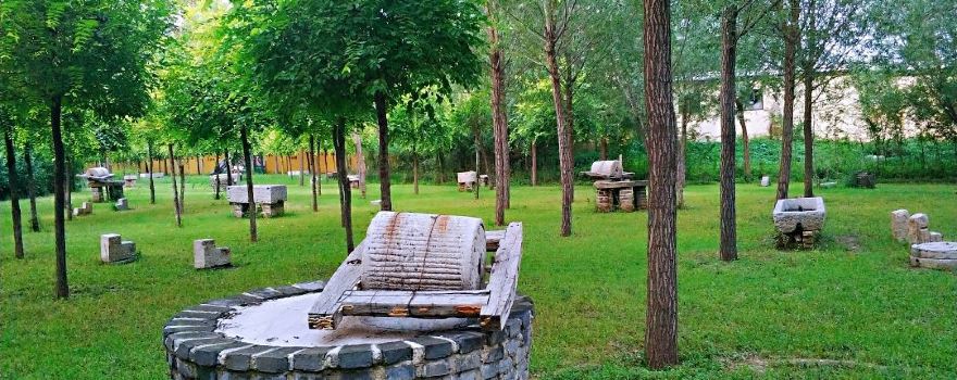 Shifu Temple Park
