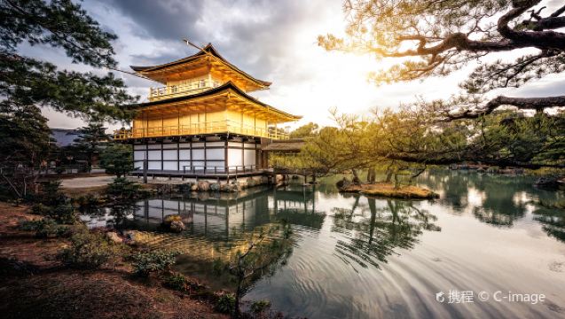 金閣寺+八阪神社+嵐山渡月橋+嵐山小火車【包車遊】
