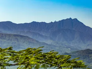 Hainan Tropical Rainforest National Park Wuzhi Mount