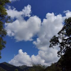 群哥土菜馆 User Photo