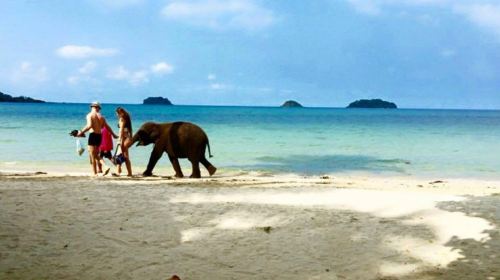 Kaibae Meechai Elephant Camp