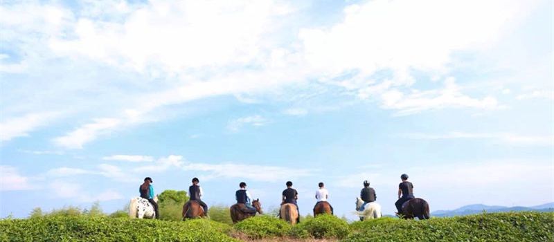 Jueyin Equestrian