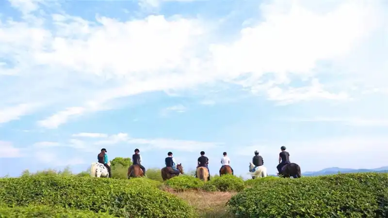 Hotels near Jueyin Equestrian