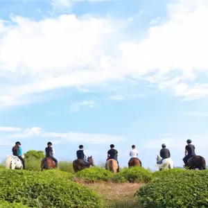 爵隱馬術