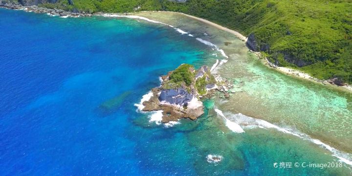 Bird Island