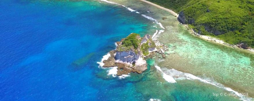 Bird Island