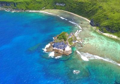 Bird Island