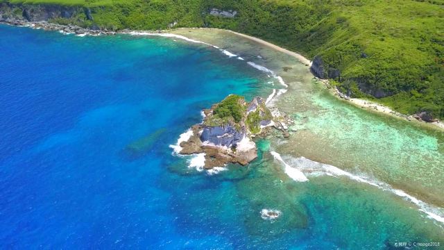 Bird Island