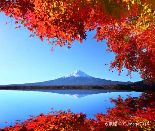 東京+富士山+富士急樂園一日遊