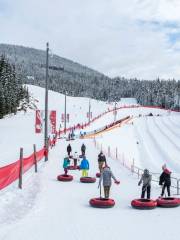 惠斯勒黑梳山可口可樂雪圈公園