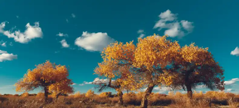 Khách sạn 2 Sao tại Tân Cương, Trung Quốc