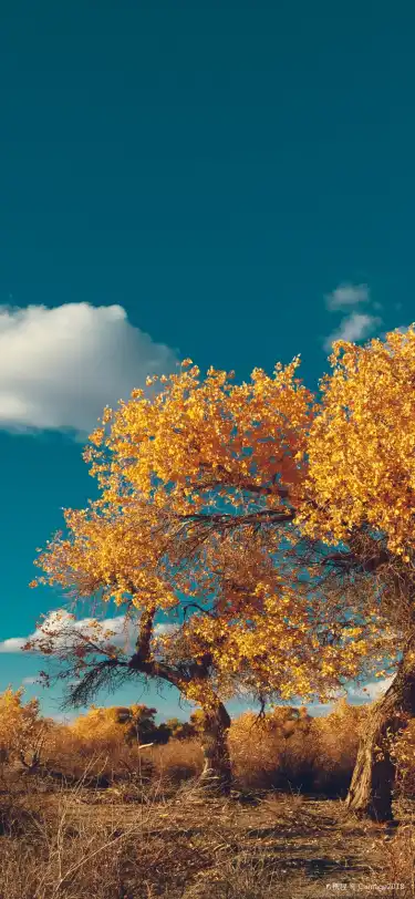 中國新疆的小旅館