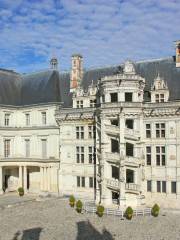 Castillo de Blois