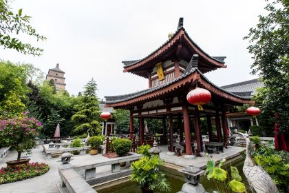 Tang Dynasty Art Garden Hotel Xi'an Shanxi Guan Fu Cuisine