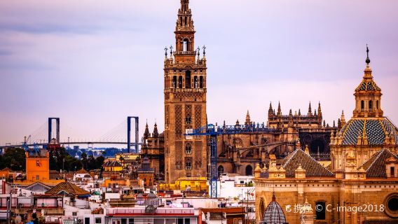 Seville Cathedral + Giralda Tower + Royal Palace + Plaza de España + Golden Tower one-day tour