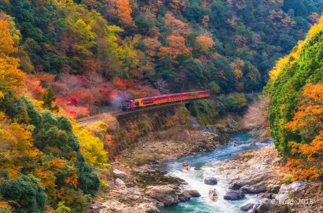 Admire Maple Leaves in Kyoto