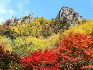 소운쿄