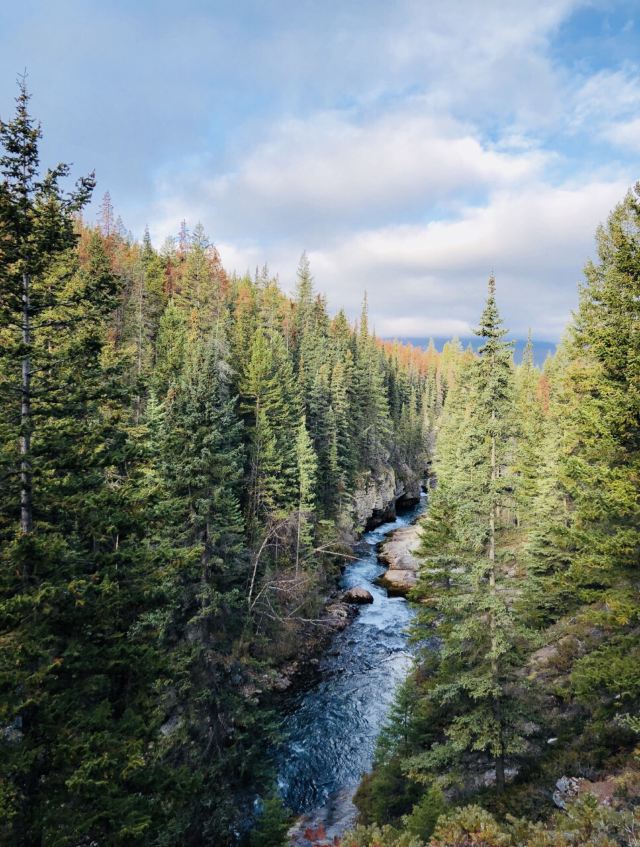 Maligne Canyon