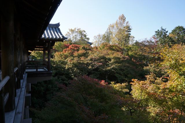 東福寺