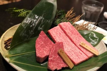 Hidagyuuittouyaginzabakuroichidai