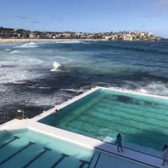 Icebergs Dining Room and Bar User Photo