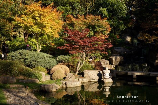 Kyoto Garden