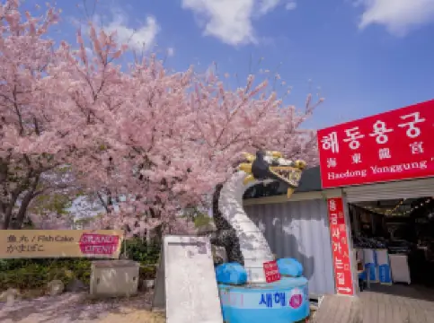 Haedong Yonggungsa Temple