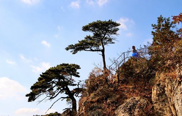 천문산 국가삼림공원