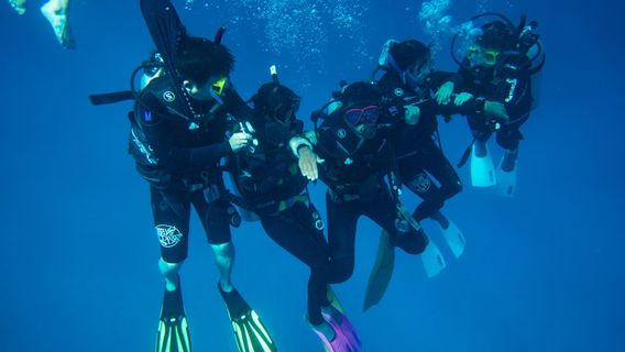 CairnsTours