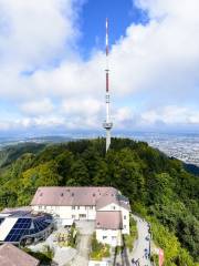 Uetliberg Mountain