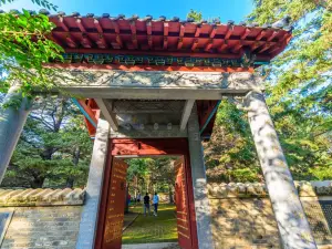 Nenjiang Gaofeng Forest Park