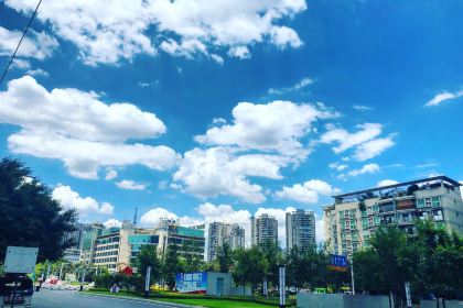 怒火八零牛肉串串(九街店)